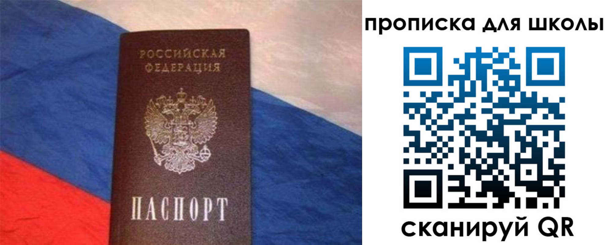 прописка поиск в Ивантеевке